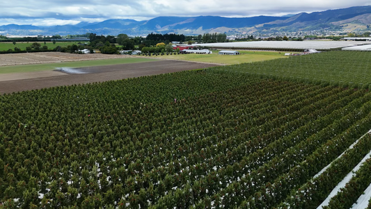 Smarter, Safer, More Efficient Orchards