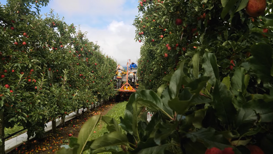 Revolutionising Agriculture with Automation