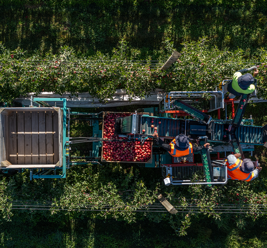 The Right Platform for Your Orchard: Maximizing Efficiency and Yield