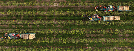 What Orchard Platform do I Need?